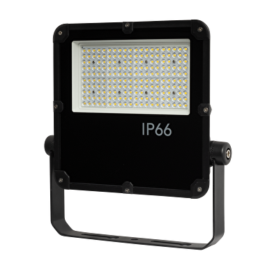 Professional LED floodlight 100W, 5000K, 100V-277V AC, IP66